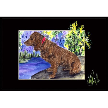Carolines Treasures Boykin Spaniel Indoor Or Outdoor Doormat - 24 x 36 in. SS8065JMAT